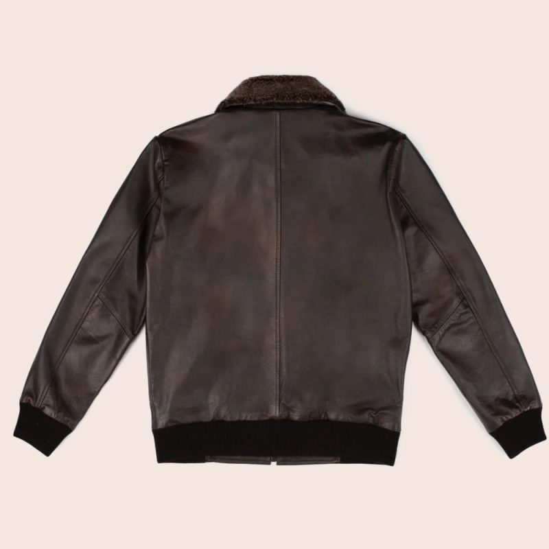 MenG 1FlightIconicBrownLeatherBomberJacket4